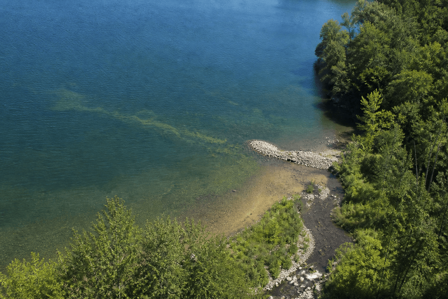 Lake cove with ranked bite zones